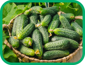 Огірки у кошику